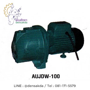 **ปั๊มน้ำหอยโข่งสำหรับบ่อบาดาล โปโล POLO รุ่น AUJDW-100 **ปั๊มน้ำหอยโข่งสำหรับบ่อบาดาล โปโล POLO รุ่น AUJDW-100