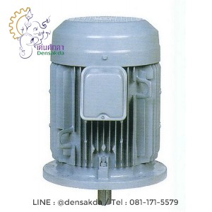 มอเตอร์ฮิตาชิ Hitachi แบบหน้าแปลน 5 แรงม้า รุ่น 5 VTFO-K(DK)(L) มอเตอร์ฮิตาชิ Hitachi แบบหน้าแปลน 5 แรงม้า รุ่น 5 VTFO-K(DK)(L)
