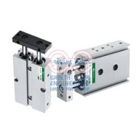 กระบอกลมรุ่น tn - TN Double-shaft Cylinder