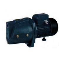 ปั๊มน้ำ โปโล polo - **ปั๊มน้ำหอยโข่งแบบล่อน้ำในตัว โปโล POLO รุ่น JSW-10M