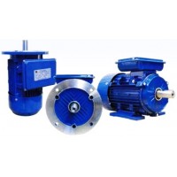 มอเตอร์ มุลเลอร์ muller - **มอเตอร์มุลเลอร์ Muller Motor 220 แรงม้า 2 โพล แบบหน้าแปลน B5 QY2 QY2B