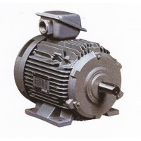 มอเตอร์ ฮิตาชิ hitachi - **มอเตอร์ฮิตาชิ HITACHI 5 แรงม้าไฟ 3 เฟส รุ่น 5 TFO-K (DK)