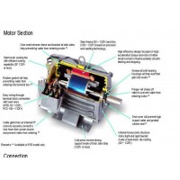 **มอเตอร์มิตซูบิชิ 7.5 แรงม้า รุ่น SF-JR 7.5 HP 4 P