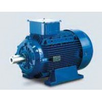 **มอเตอร์เมอร์รารี่ Marelli 0.25 HP รุ่น MAA 63B4