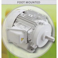 **มอเตอร์โตชิบา TOSHIBA แบบขาตั้ง 3000 รอบ 2 แรงม้า รุ่น FT2-2HP-L