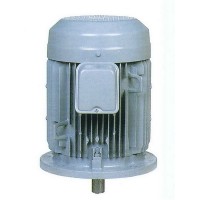 สินค้ามาใหม่ - มอเตอร์ฮิตาชิ Hitachi แบบหน้าแปลน 3 แรงม้า รุ่น 3 VTFO-K(DK)(L)